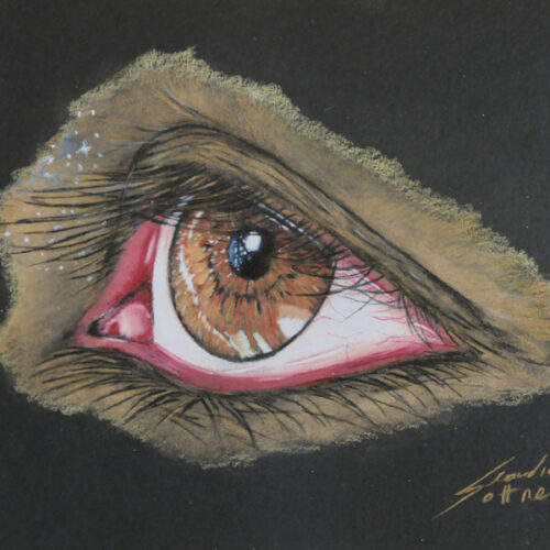 Close up drawing of an eye