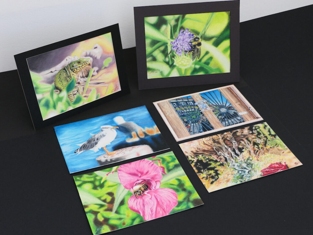 Coloured Pencil Drawings of Animals, Flowers, Nature and More