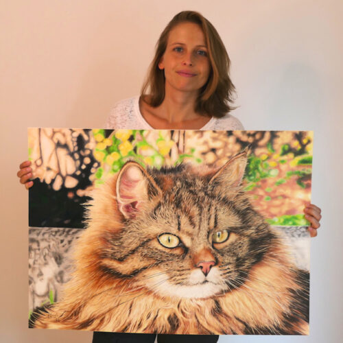 A highly detailed and realistic colored pencil drawing of a cat named Jack, created by artist Claudia Sottner in 2022. The artwork captures the fine textures of the cat's fur and expressive eyes.
